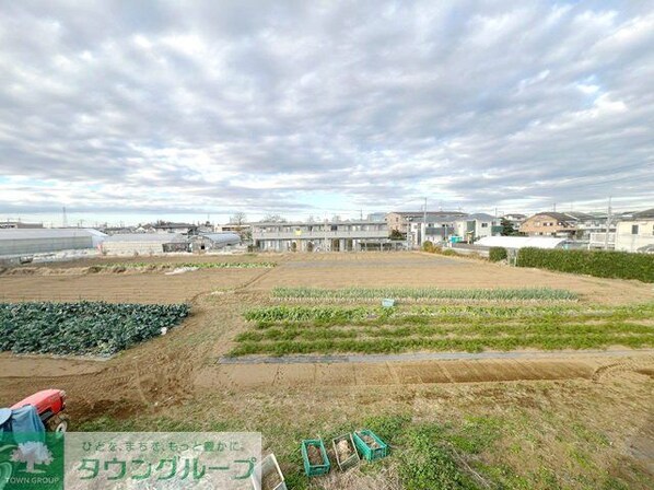 大泉学園町3丁目戸建の物件内観写真